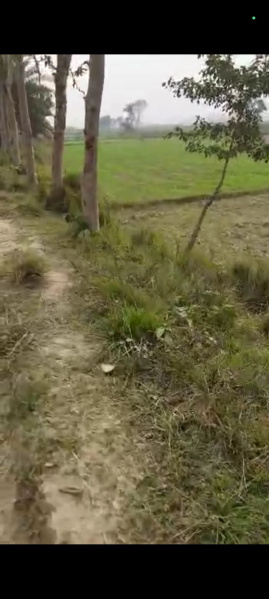 Agricultural Land For Sale Near Jibach Chowk