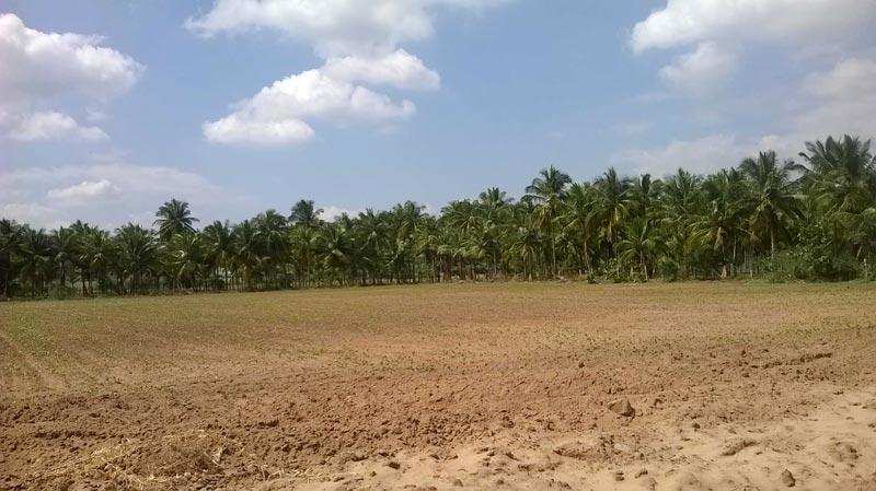 7 katha residential land for sale Near Madhubani