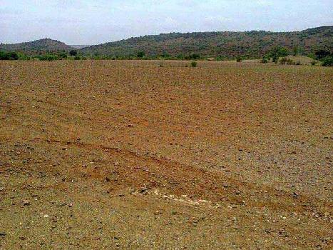 1 katha land for sale in Beladullah, Darbhanga