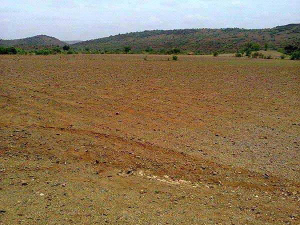 1 katha land for sale in Beladullah, Darbhanga