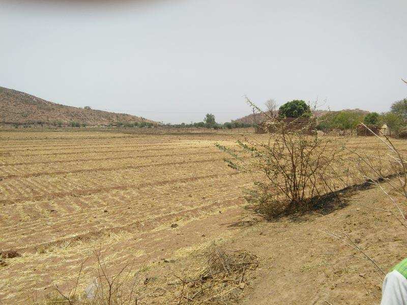1 Katha Commercial Land For Sale In Benipatti