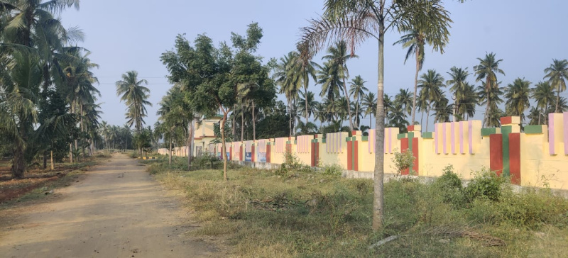 Residential Plot For Sale In Pusapatirega, Vizianagaram (200 Sq. Yards)