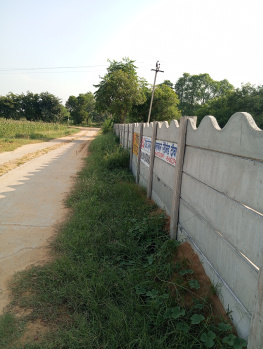 Residential Plot for Sale in Dadri Road, Jhajjar (2 Acre)