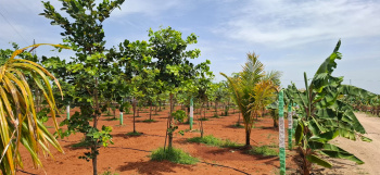 Property for sale in Maduranthakam, Chengalpattu