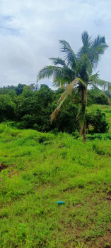 Premium Sea View NA Bungalow Plots near Dapoli (Ratnagiri).