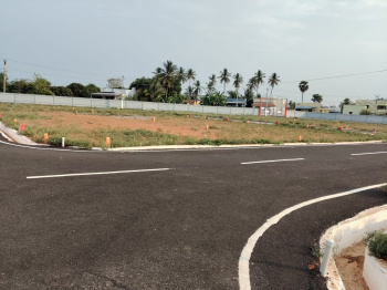 Residential Plot for Sale in Omalur, Salem (1000 Sq.ft.)