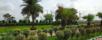 On Highway Alwar plot available