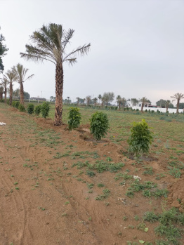 Residential Plot for Sale in Delhi Bypass Road, Alwar (101 Sq.ft.)