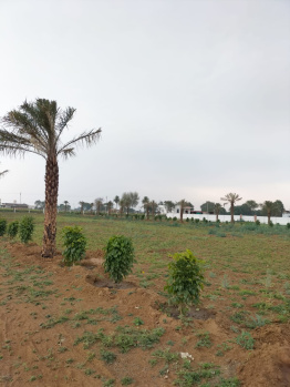 PLOT AVAILABLE FOR REASONABLE PRICE