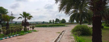 Residential Plot for Sale in 200 Ft Road, Alwar (350 Sq. Yards)