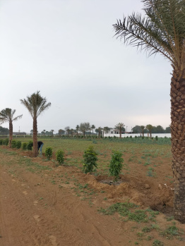 PLOT AVAILABLE FOR REASONABLE PRICE