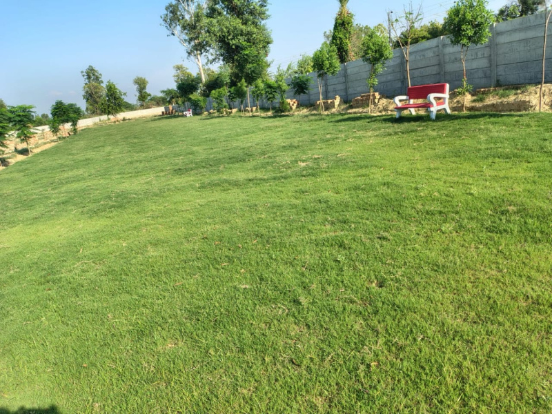 Residential Plot For Sale In Sultanpur Road, Lucknow (1150 Sq.ft.)