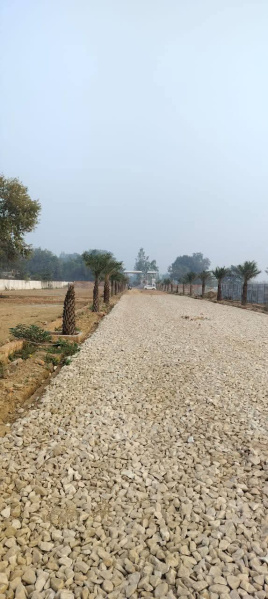 Residential Plot For Sale In Sultanpur Road, Lucknow (1500 Sq.ft.)