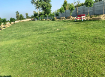 Residential Plot for Sale in Rahmatnagar, Lucknow (2100 Sq.ft.)