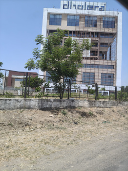 Nearby Dholera international airport