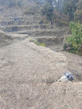 Property for sale in Ramgarh, Nainital