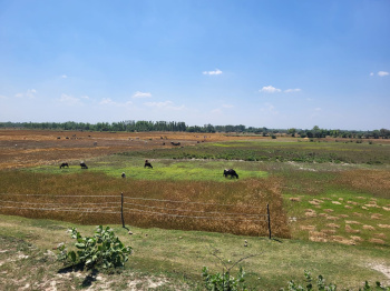 Greater Noida Authority Residential Plot