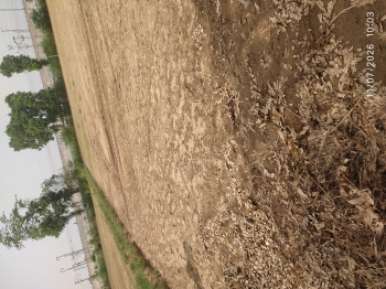 Agriculture Land Available for Sale in New Noida (Khurja )
