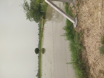 Agricultural land for sale in New Noida (Khur ja)
