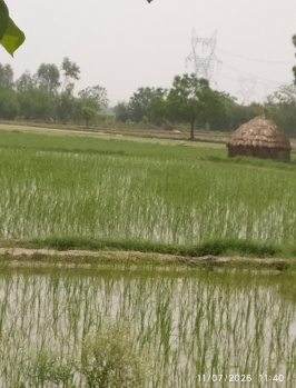 Agriculture Land Available for Sale