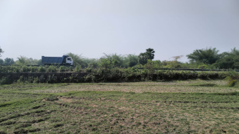 Commercial Lands /Inst. Land for Sale in Rasgovindpur, Mayurbhanj (139 Dismil)