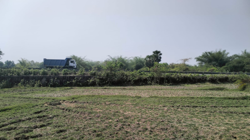 Commercial Lands /Inst. Land For Sale In Rasgovindpur, Mayurbhanj (139 Dismil)