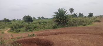 Commercial Lands /Inst. Land for Sale in Fuljhari, Mayurbhanj (25 Acre)