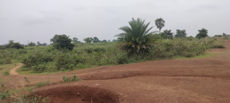 Commercial Lands /Inst. Land For Sale In Fuljhari, Mayurbhanj (25 Acre)
