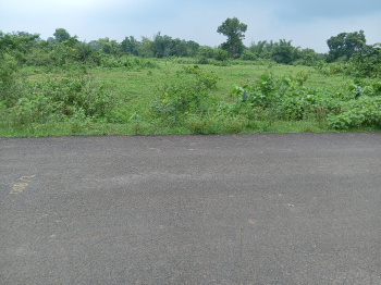 Commercial Lands /Inst. Land for Sale in Khunta, Mayurbhanj (525 Dismil)