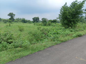Property for sale in Khunta, Mayurbhanj