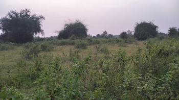 Property for sale in Rasgovindpur, Mayurbhanj