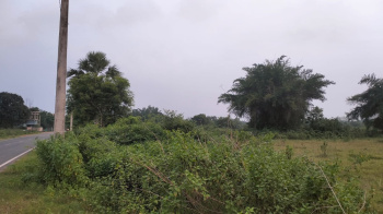 Property for sale in Rasagobindapur, Mayurbhanj