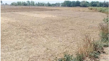 10000 square feet full or smaller size Plot Sadarpur Karora, Gosaiganj , Lucknow