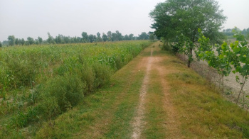 162990 Sq.ft. Agricultural/Farm Land for Sale in Ramnagar Barabanki, Barabanki