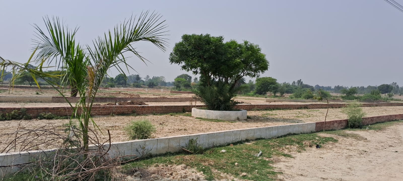 Residential Plot For Sale In Mohanlalganj, Lucknow (800 Sq.ft.)