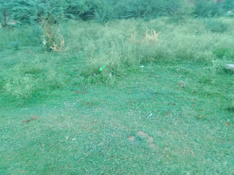 Residential Plot For Sale In Azadnagar, Hardoi (2497 Sq.ft.)