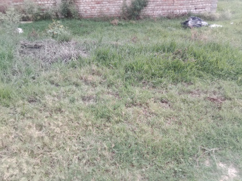 Residential Plot for Sale in Bawan Chungi, Hardoi (700 Sq.ft.)