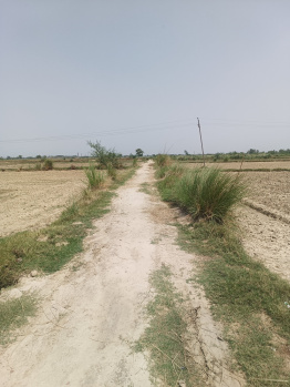 Agricultural/Farm Land for Sale in Mant, Mathura (3.5 Bigha)