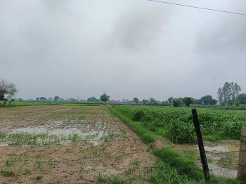 Property for sale in Akbarpur, Mathura
