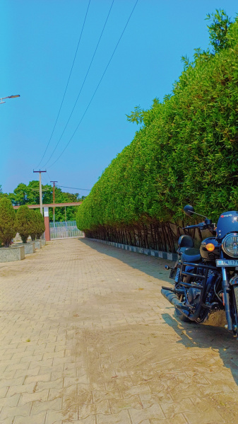 Residential Plot For Sale In Haridwar, Haridwar (1200 Sq.ft.)