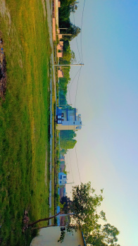 1250 Sq.ft. Residential Plot for Sale in Bhagwanpur, Haridwar
