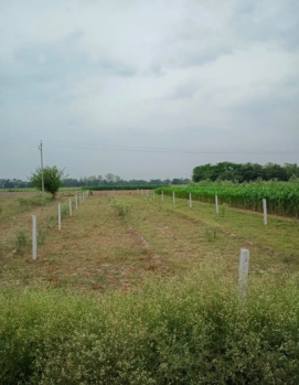 Property for sale in Bhadson Road, Patiala