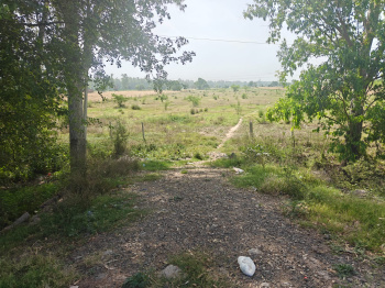 Agricultural/Farm Land for Sale in Banur, Mohali (35 Acre)