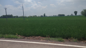 Property for sale in Tepla, Rajpura