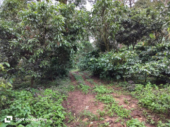 Property for sale in Banur, Mohali