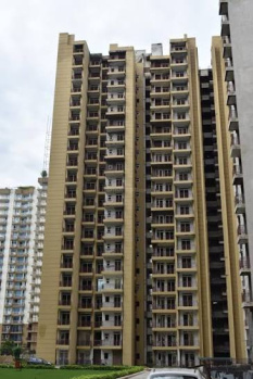 Flats & Apartments for Sale in Greater Noida West, Greater Noida (1440 Sq.ft.)