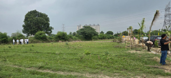 Agricultural/Farm Land for Sale in Dadri, Gautam Buddha Nagar (1700 Sq. Yards)