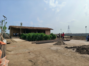 Agricultural/Farm Land for Sale in Dadri, Gautam Buddha Nagar (1100 Sq. Yards)