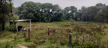 Property for sale in Sakleshpur, Hassan