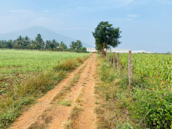 22 Acre Agricultural/Farm Land for Sale in Kadur, Chikmagalur
